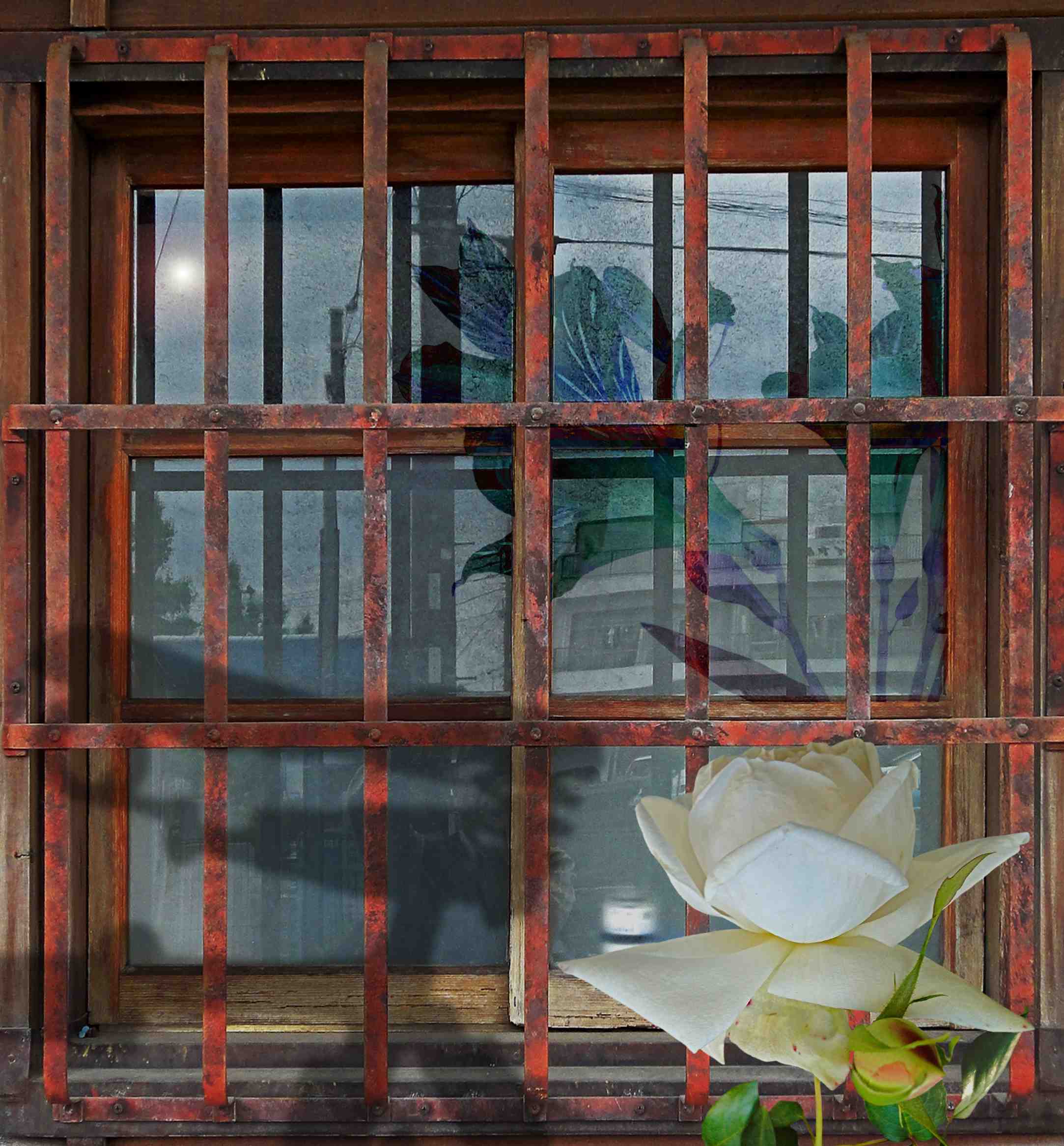 佐藤ケンジ個展　-花之写画帳4-」