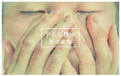星奈緒展-平らな標本