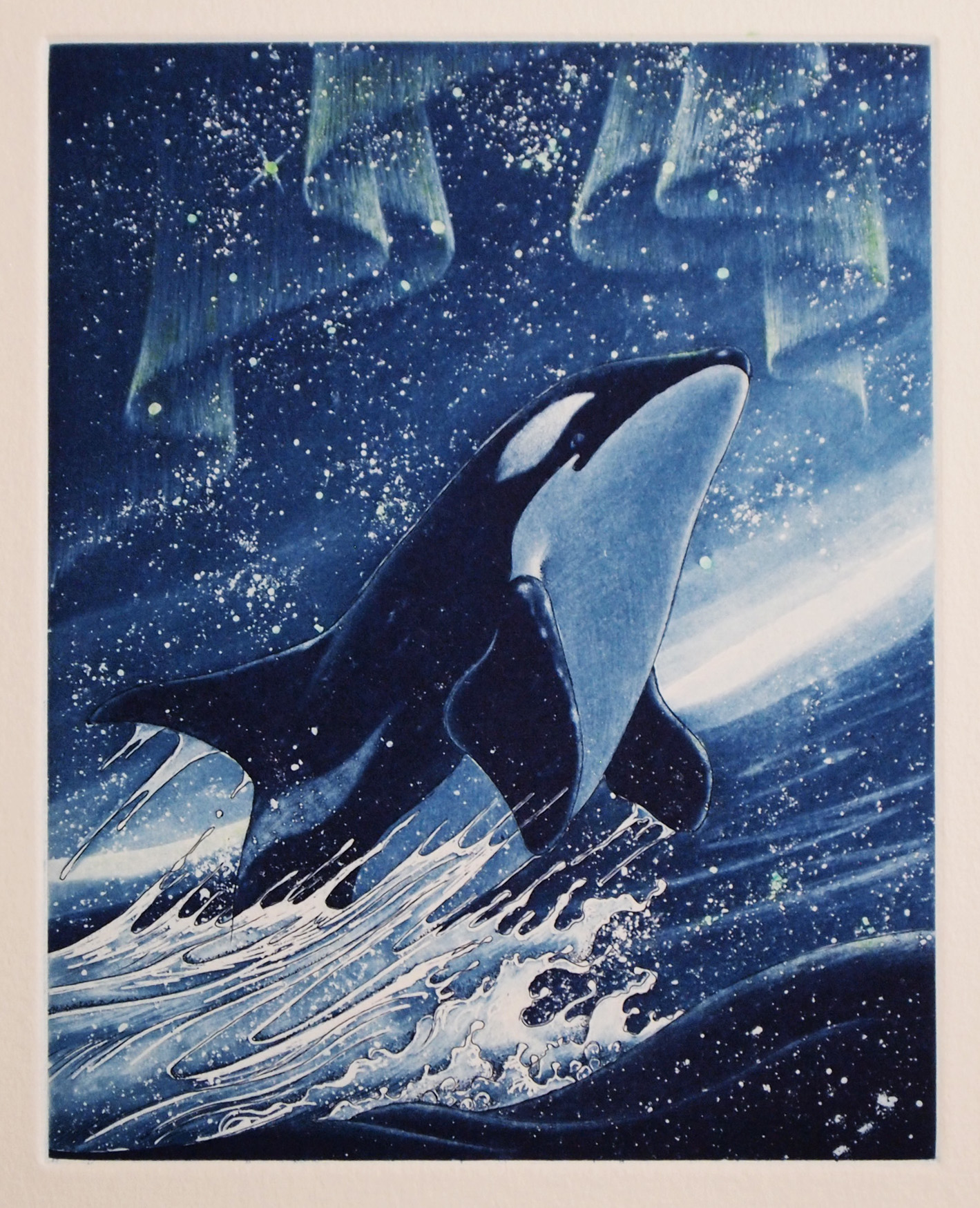 坪井富佐乃銅版画展