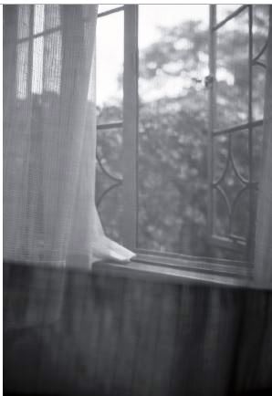 松田洋子写真展・シルエット