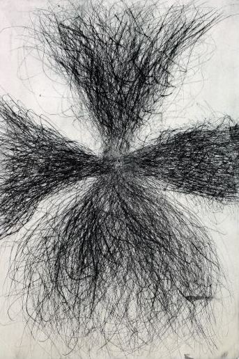 上野謙介展・生命の森