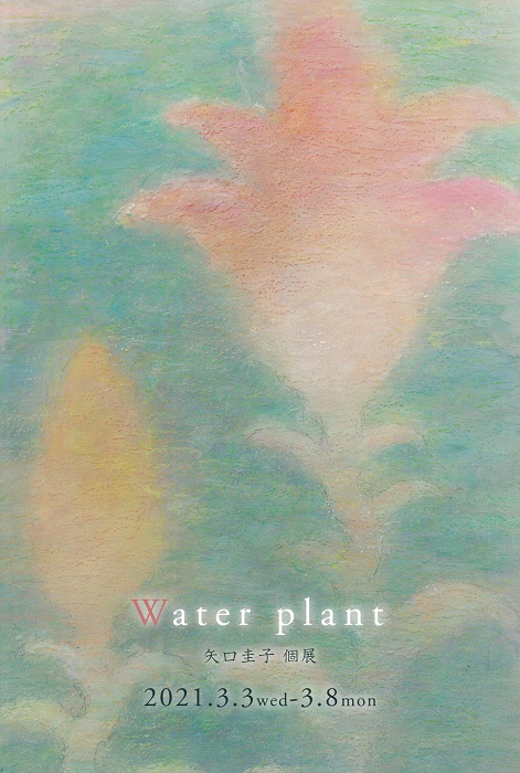 矢口圭子個展・Water plant